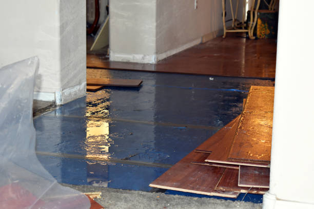 Professional Basement Flood Cleanup technician working in Brownville Junction, ME